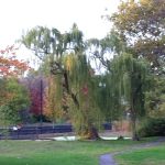 IMG_0553 IMG_0553