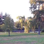 IMG_0554 IMG_0554