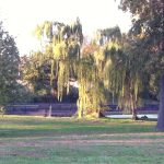 IMG_0555 IMG_0555