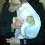 IMG_0623 IMG_0623