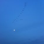 IMG_0628 IMG_0628