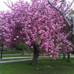 IMG_0770 IMG_0770