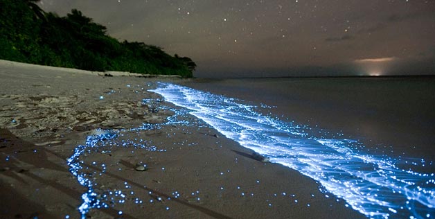 Eerie, glowing waves appear in Maldives, but don’t panic