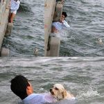 rescue rescue