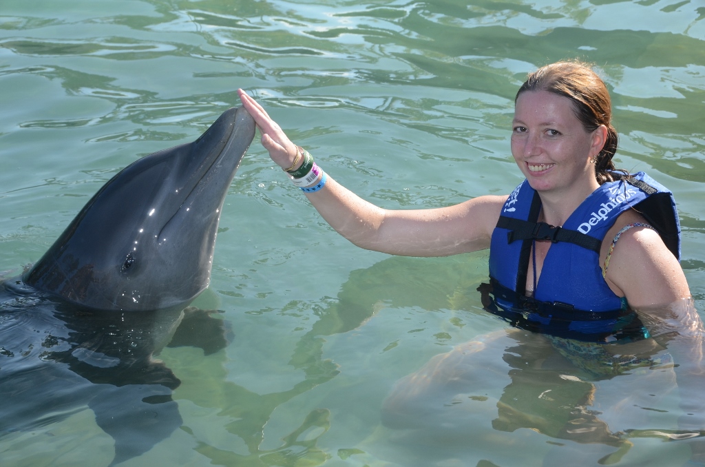 Swimming with Dolphins in Xcaret David's Blog