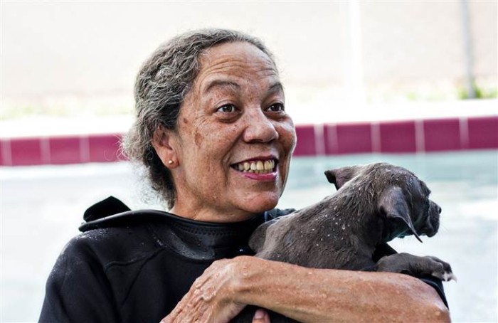 How swimming, and lots of love, saved Harper the puppy’s life