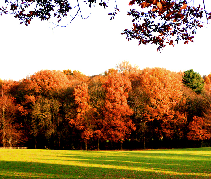 Fall in PA 2010